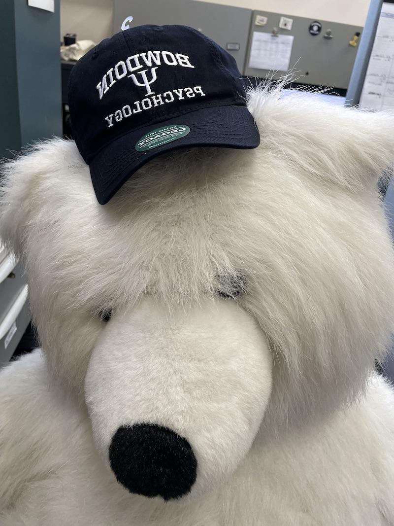 九州娱乐城登入北极熊吉祥物戴着心理学帽